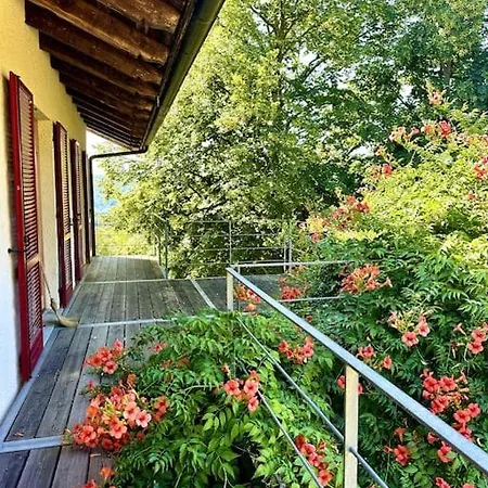 Nach Schweizer Standard Gebaut Ciglione